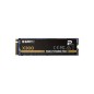 Emtec X300 M2 2000 Gb Pci Express